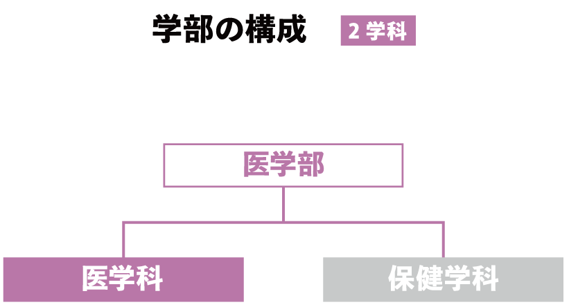 学部構成