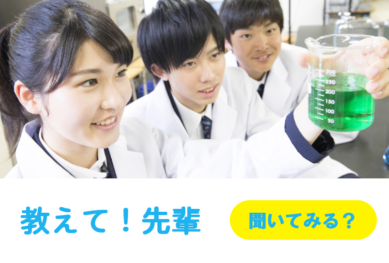 教えて！先輩