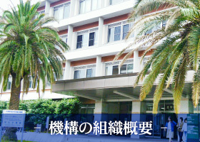 機構の組織概要